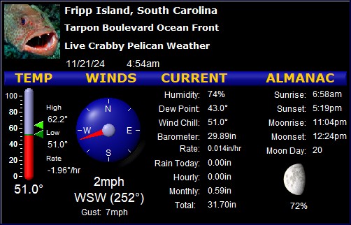 Live Fripp Island Weather